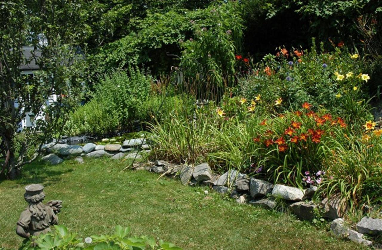 Gardenview Bed And Breakfast Newport Eksteriør bilde