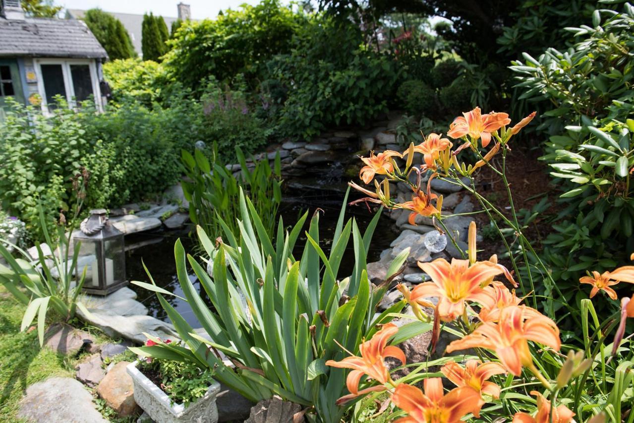 Gardenview Bed And Breakfast Newport Eksteriør bilde